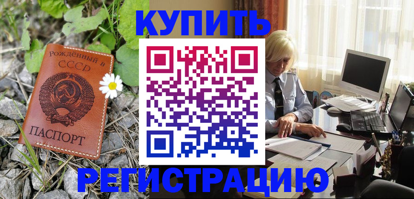 временная регистрация поиск в Купино