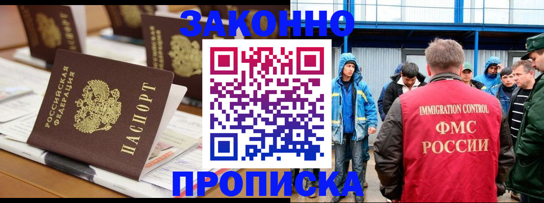 прописка поиск в Купино